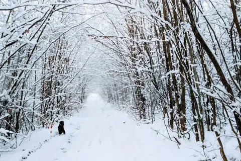 Ужанський національний природний парк — фото 12