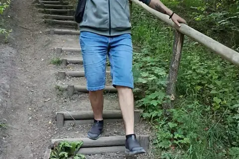 Лиса гора — фото 2