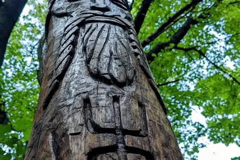 Лиса гора — фото 7