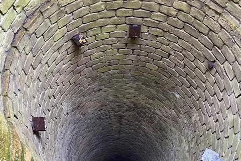 Лиса гора — фото 12