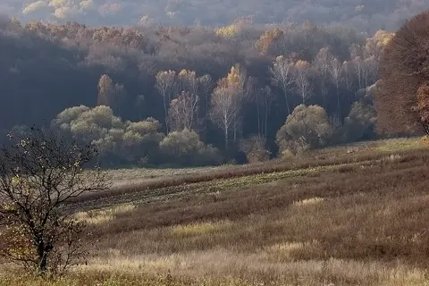 Природний заповідник «Медобори» — фото 4