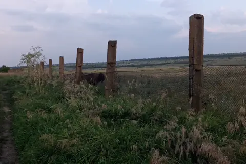 Природний заповідник «Єланецький степ» — фото 8