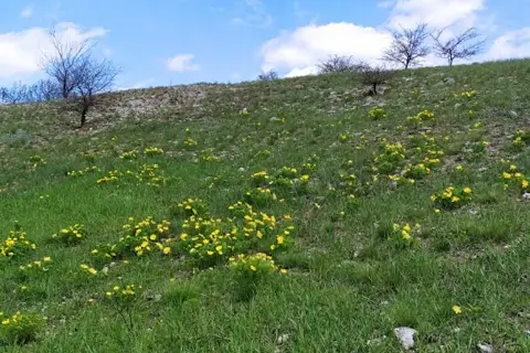 Природний заповідник «Єланецький степ» — фото 11