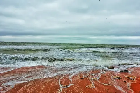 Опуцький природний заповідник — фото 10