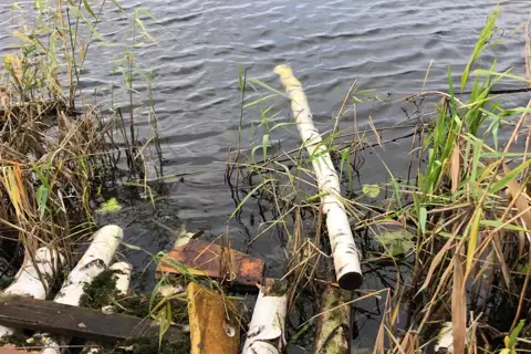 Білоозерський національний природний парк — фото 2