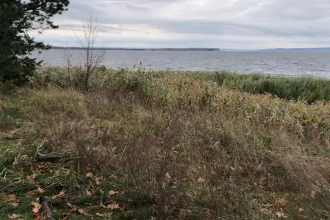 Білоозерський національний природний парк — фото 8