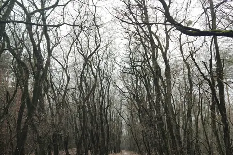 Білоозерський національний природний парк — фото 10