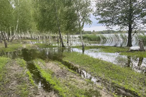 Білоозерський національний природний парк — фото 12