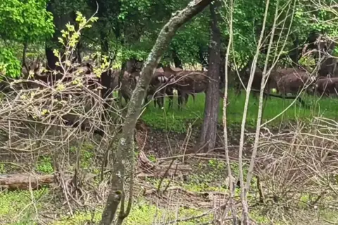 Білоозерський національний природний парк — фото 14