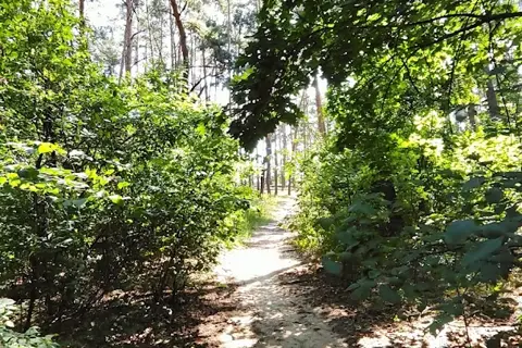 Національний природний парк «Голосіївський» — фото 4