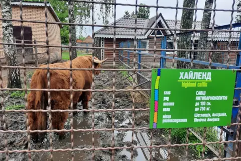 Менський зоопарк — фото 9