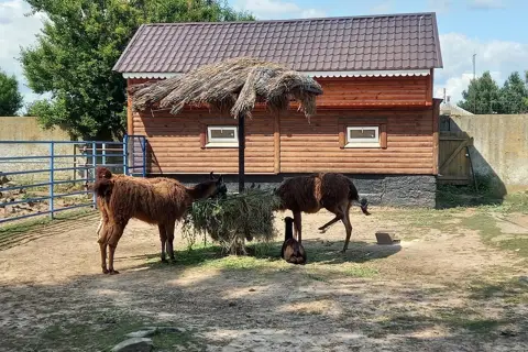 Менський зоопарк — фото 13