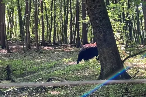 Галицький національний природний парк — фото 2