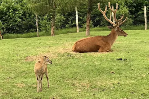 Галицький національний природний парк — фото 3
