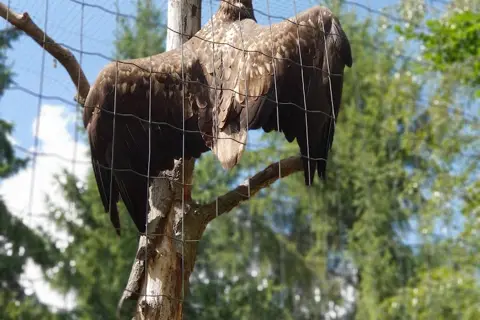 Галицький національний природний парк — фото 4