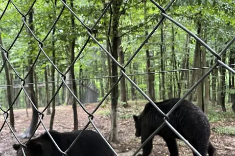 Галицький національний природний парк — фото 5