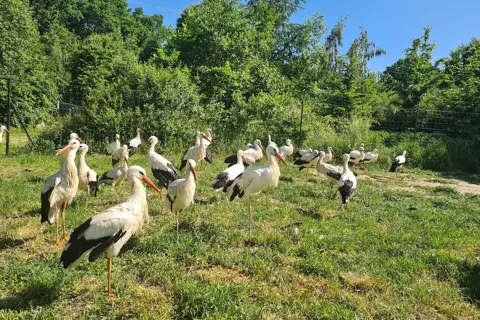 Галицький національний природний парк — фото 6