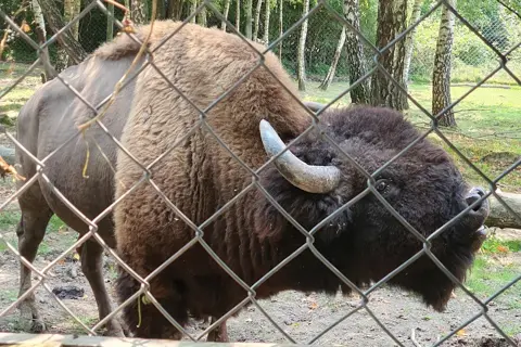 Галицький національний природний парк — фото 7