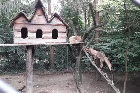 Галицький національний природний парк — фото 9