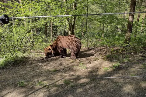 Галицький національний природний парк — фото 11