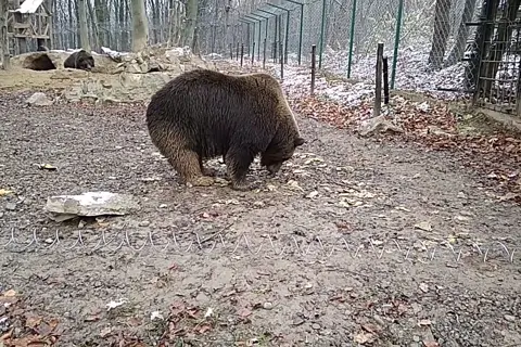 Галицький національний природний парк — фото 13