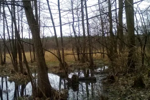 Ічнянський національний природний парк — фото 2