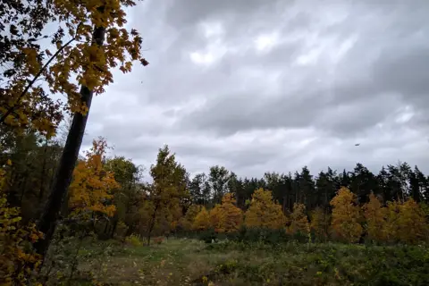 Ічнянський національний природний парк — фото 10