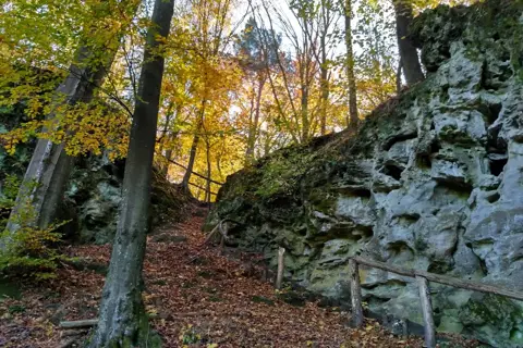 Національний природний парк «Яворівський» — фото 4