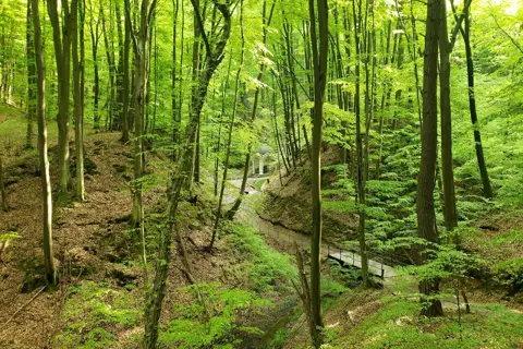 Національний природний парк «Яворівський» — фото 6