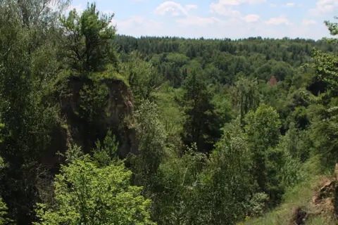 Регіональний ландшафтний парк «Трахтемирів» — фото 9
