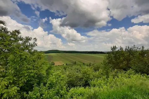 Сатанівська Перлина — фото 6