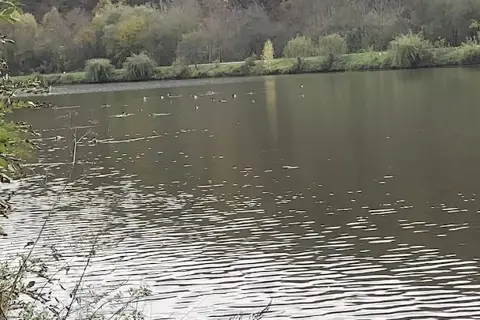 Сатанівська Перлина — фото 8