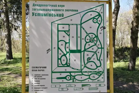 Устимівський дендропарк — фото 10