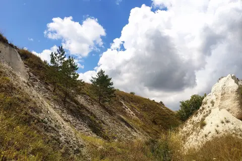 Дворічанський національний природний парк — фото 10