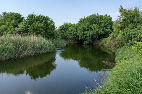 Дворічанський національний природний парк — фото 13