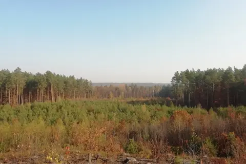 Дермансько-Острозький національний природний парк — фото 11