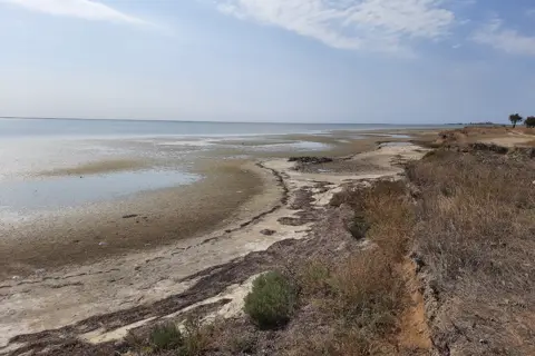 Джарилгацький національний природний парк — фото 10