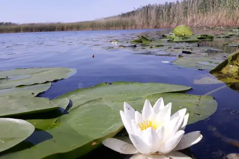 Нижньосульський національний природний парк — фото 6