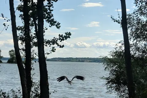 Нижньосульський національний природний парк — фото 7