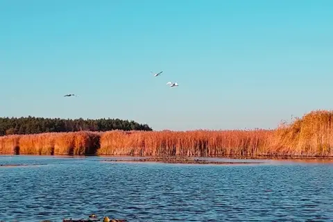 Нижньосульський національний природний парк — фото 8