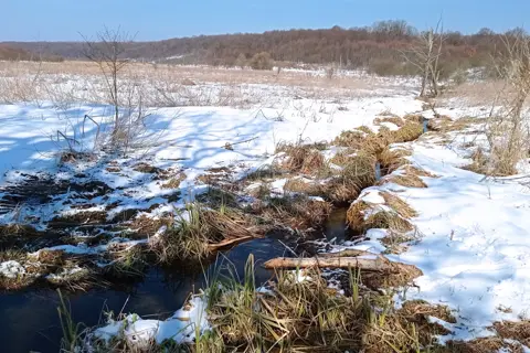 Національний природний парк «Північне Поділля» — фото 5