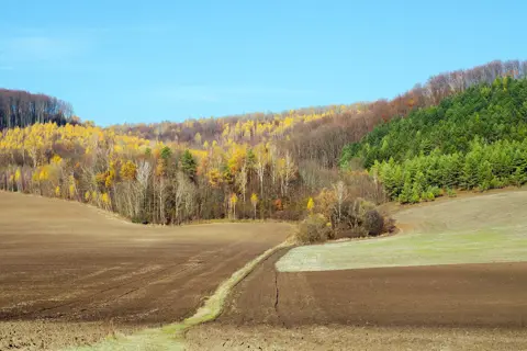 Національний природний парк «Північне Поділля» — фото 11