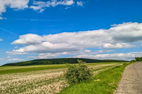 Національний природний парк «Північне Поділля» — фото 13