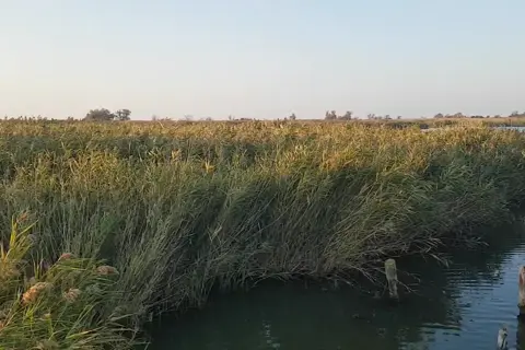 Національний природний парк «Тузловські лимани» — фото 2