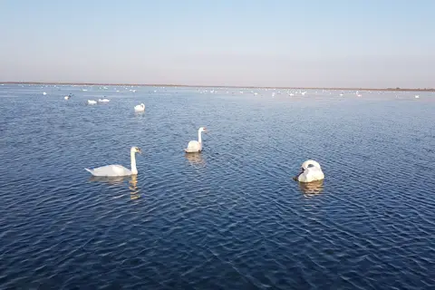 Національний природний парк «Тузловські лимани» — фото 3