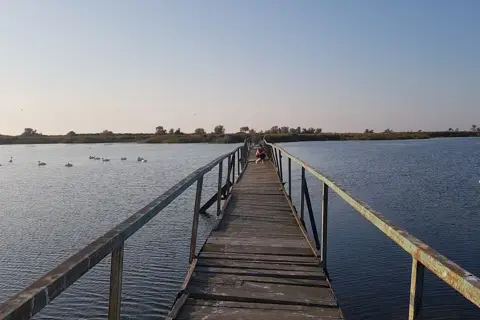 Національний природний парк «Тузловські лимани» — фото 5