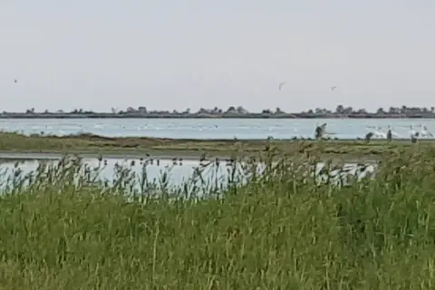 Національний природний парк «Тузловські лимани» — фото 8