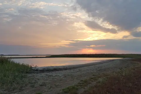 Національний природний парк «Тузловські лимани» — фото 9