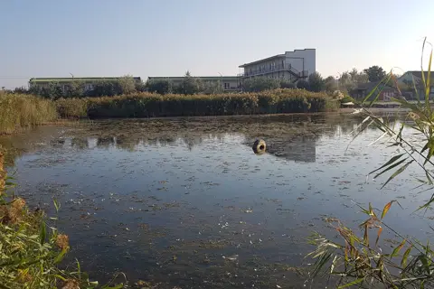 Національний природний парк «Тузловські лимани» — фото 11