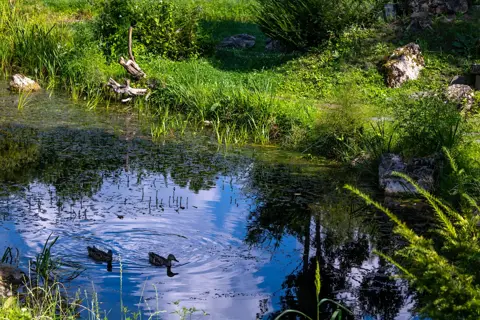 Лановецький зооботсад (зоологічний парк) — фото 4
